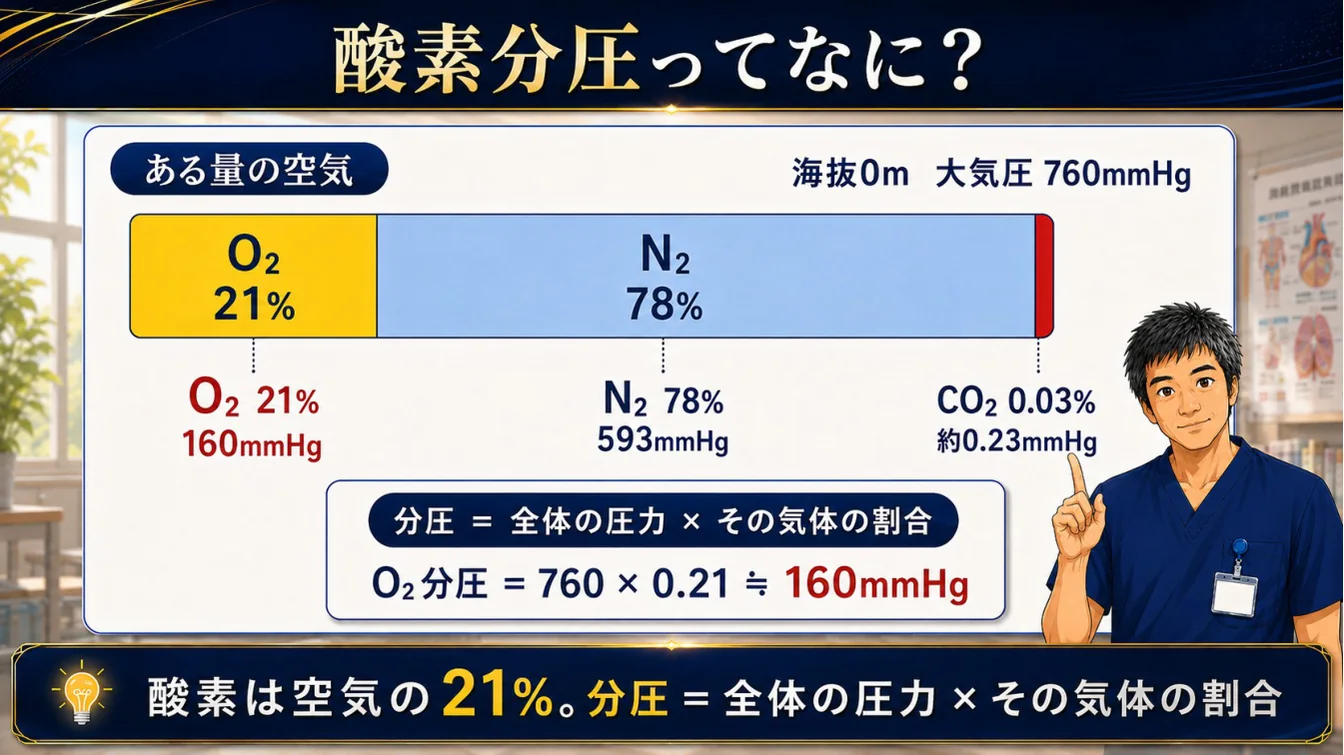 酸素分圧ってなに？