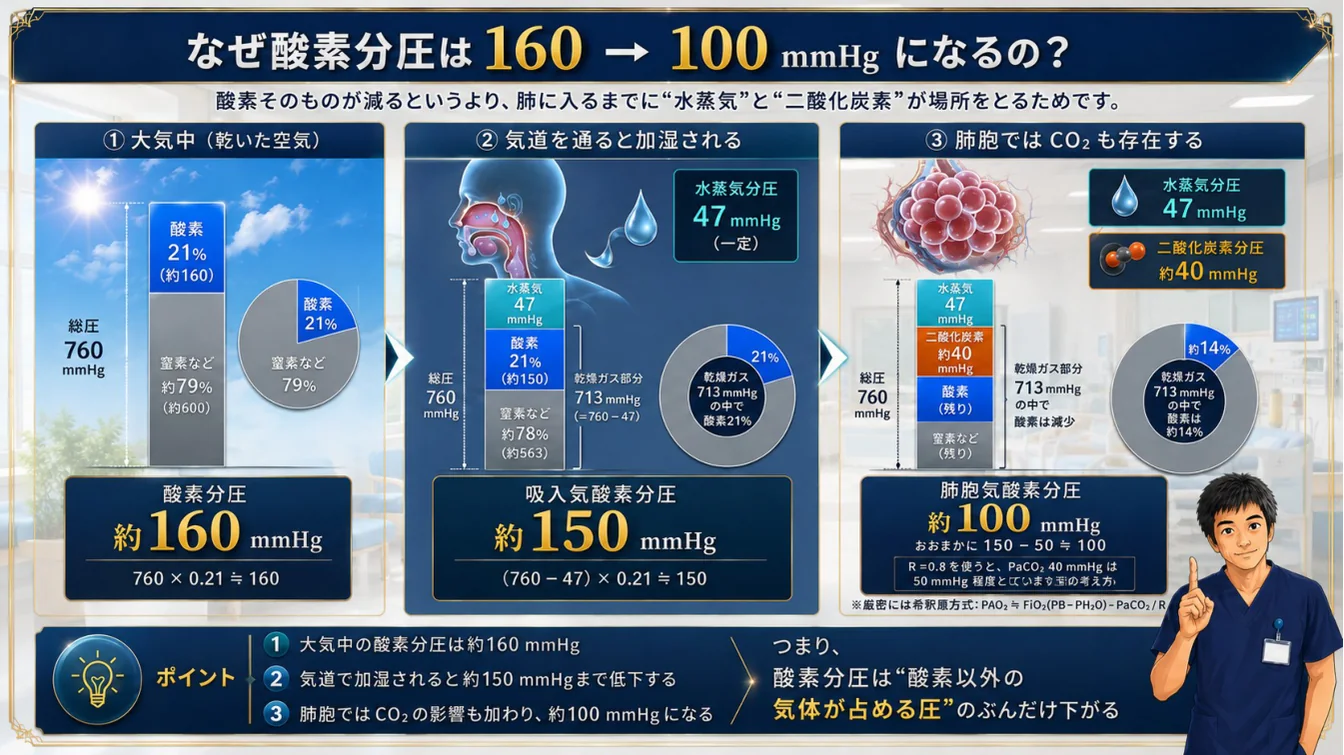 なぜ酸素分圧は160→100mmHgになるの？