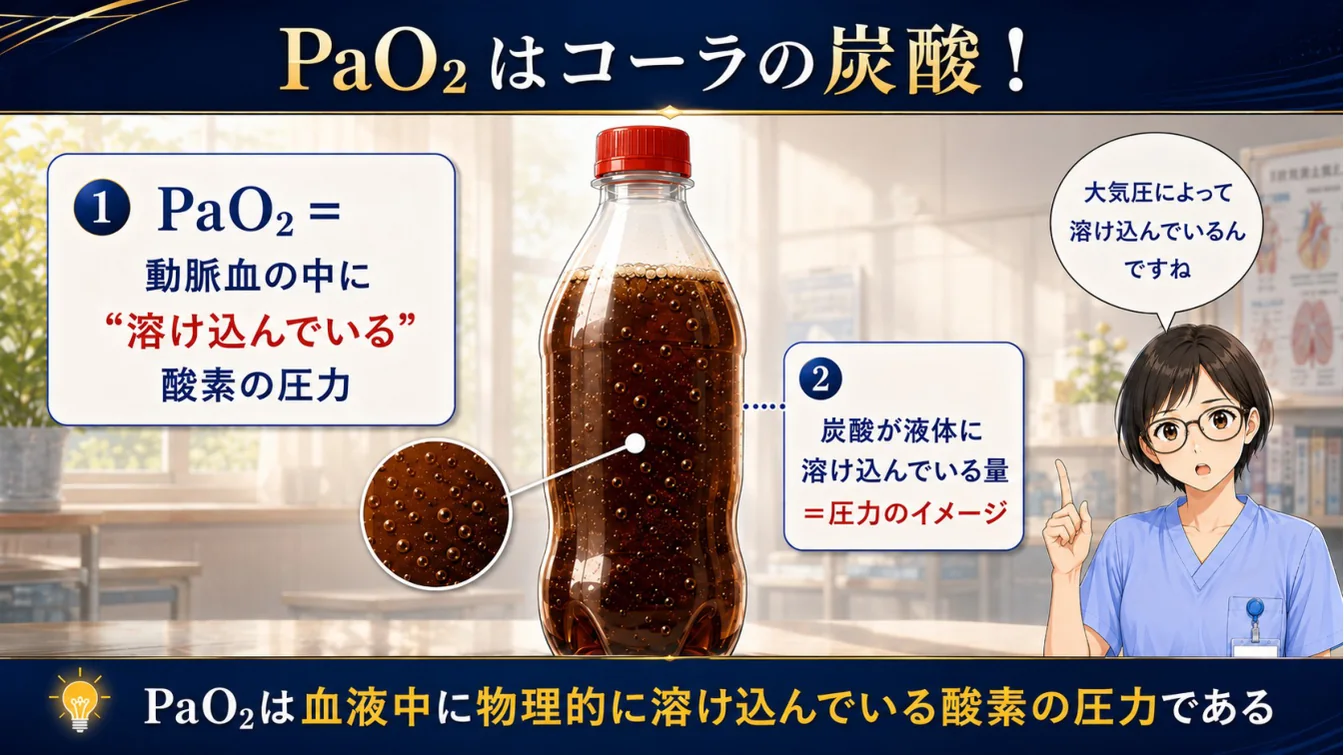 PaO₂はコーラの炭酸！