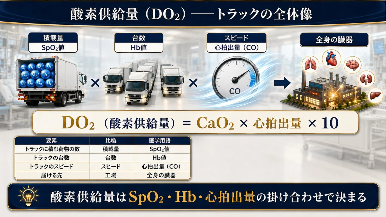 酸素供給量（DO₂）―トラックの全体像