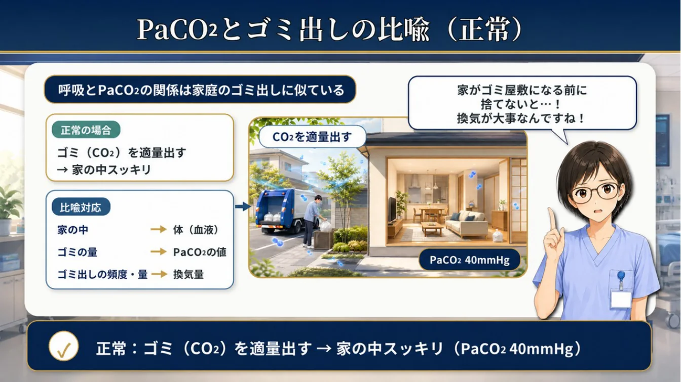PaCO₂とゴミ出しの比喩（正常）