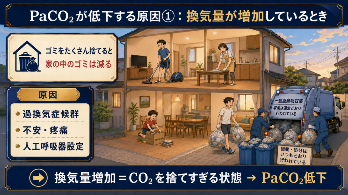 PaCO₂が低下する原因①